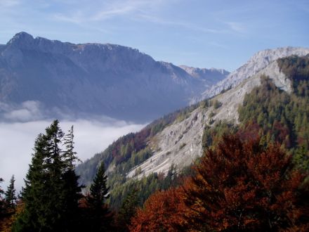 foto z roku 2005