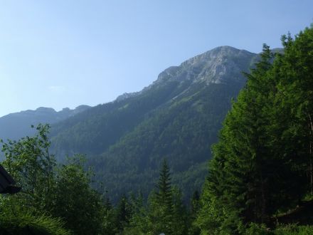 foto 2008