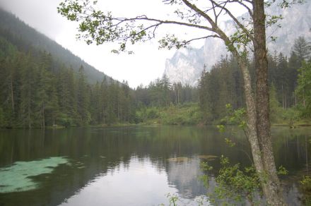 foto z roku 2009