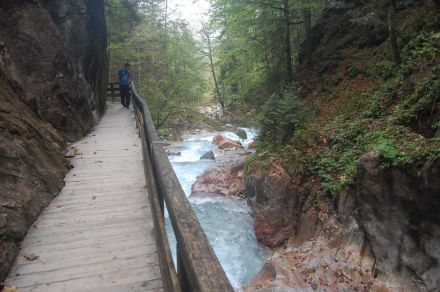 foto z roku 2009