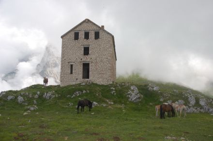 foto z roku 2011