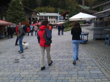 foto z roku 2012