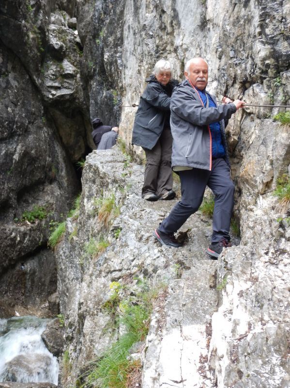 foto z roku 2019
