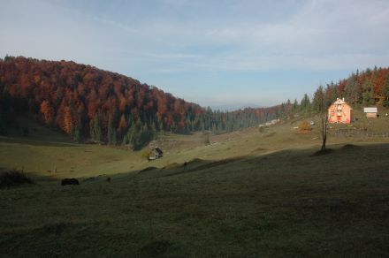 foto z roku 2008