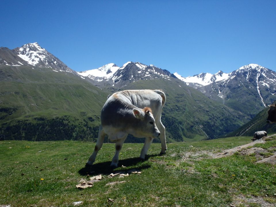 foto z roku 2014
